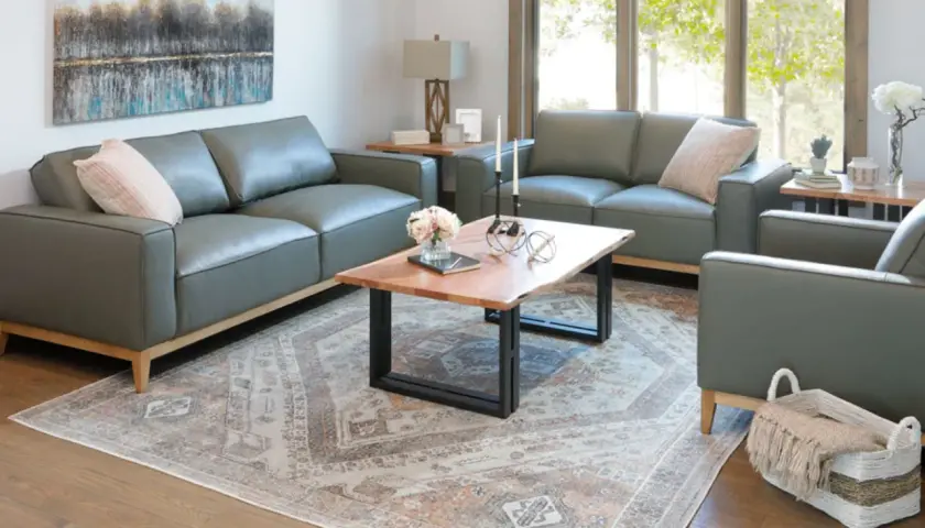 A modern living room with grey leather sofas, a live-edge coffee table, and a Persian-style rug, perfect for a furniture style guide.