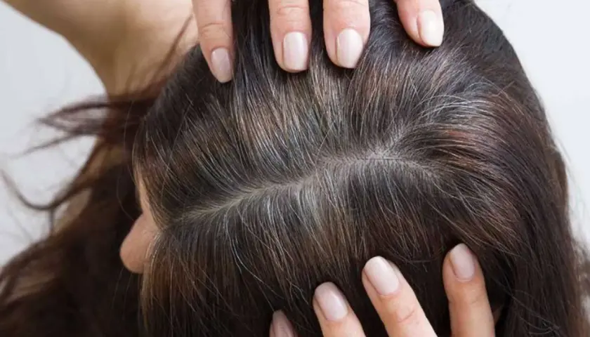Manos revisan cabello oscuro con hebras grises, como si la leyenda de que si te quitas una cana salen mas fuera cierta.