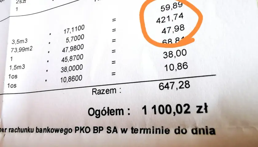 Szczegółowy rachunek za ogrzewanie w bloku. Jak obliczyć koszty ogrzewania w bloku? Suma opłat: 1100,02 zł.