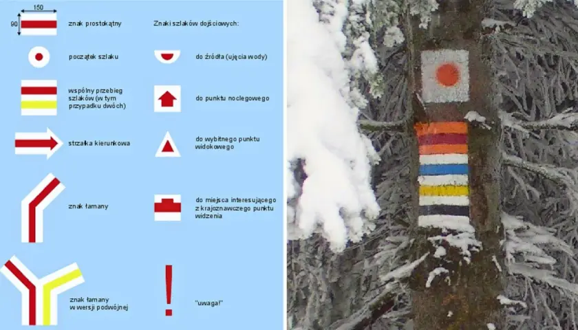 Kolorowe znaki szlaków turystycznych namalowane na drzewie w zimowej scenerii.