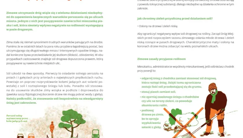 Czy można sypać solą chodniki? Sprawdź przepisy i zalecenia