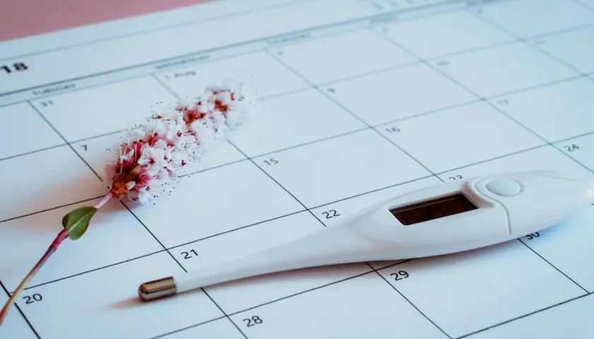 Termometr i kwiat na kalendarzu, symbolizujące dni płodne i cykl menstruacyjny.