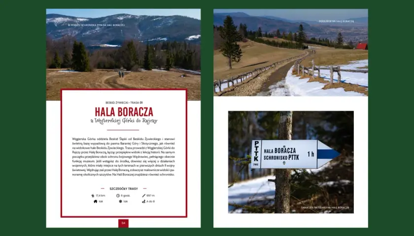 Beskid Żywiecki: trasa z Węgierskiej Górki na Halę Boraczą. Piękne widoki i historia, idealne **beskidy atrakcje dla dzieci**.