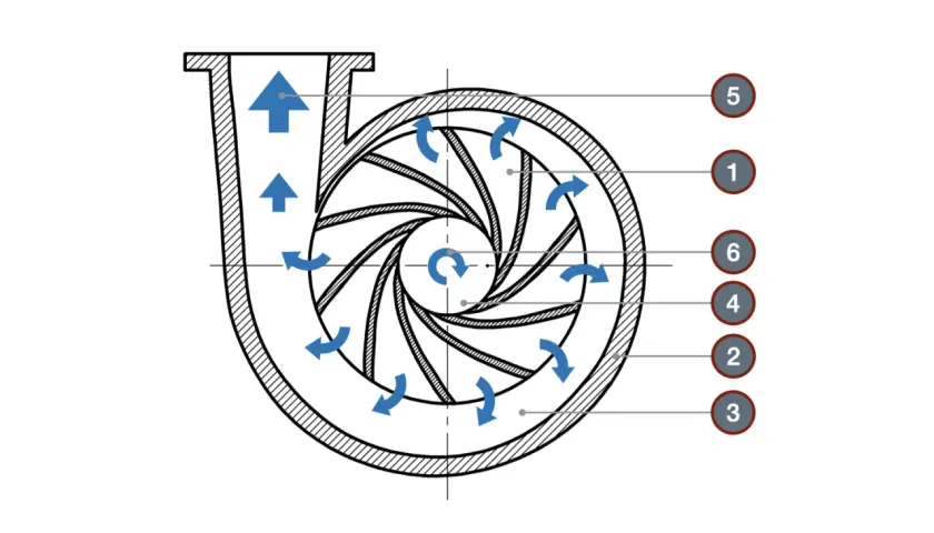 Schemat pompy odśrodkowej z oznaczeniami: 1- wirnik, 2- obudowa, 3- wlot, 4- wylot, 5- kierownica, 6- łopatki wirnika.