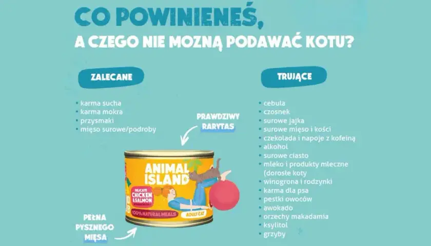 Surowe mięso dla kota: Jak karmić, by było zdrowo i bezpiecznie?