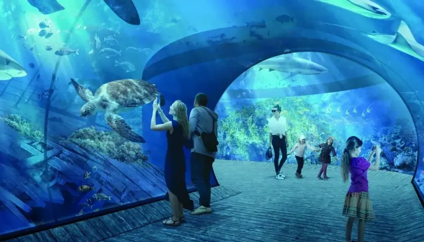 Rodzina podziwia żółwia i rekiny w tunelu podwodnym. Niezapomniane atrakcje w Oceanarium Gdańsk!