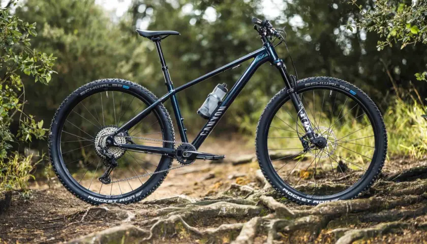 A dark blue Canyon 29er bike with Schwalbe tires rests on a root-covered trail, ready for adventure.