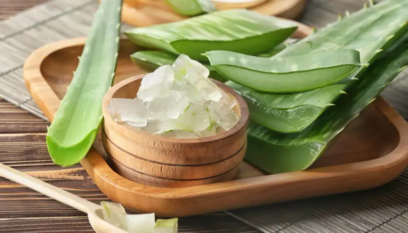 Gel de aloe vera fresco en un cuenco de madera, ideal para un tratamiento de aloe vera para el cabello sin enjuagar.