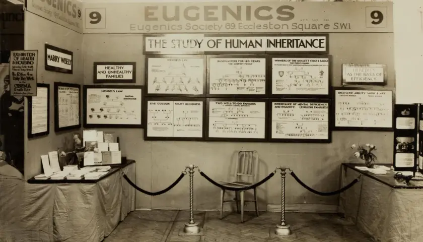 Wystawa "Eugenics" prezentuje drzewa genealogiczne i wykresy dotyczące dziedziczenia cech, promując idee eugeniki.