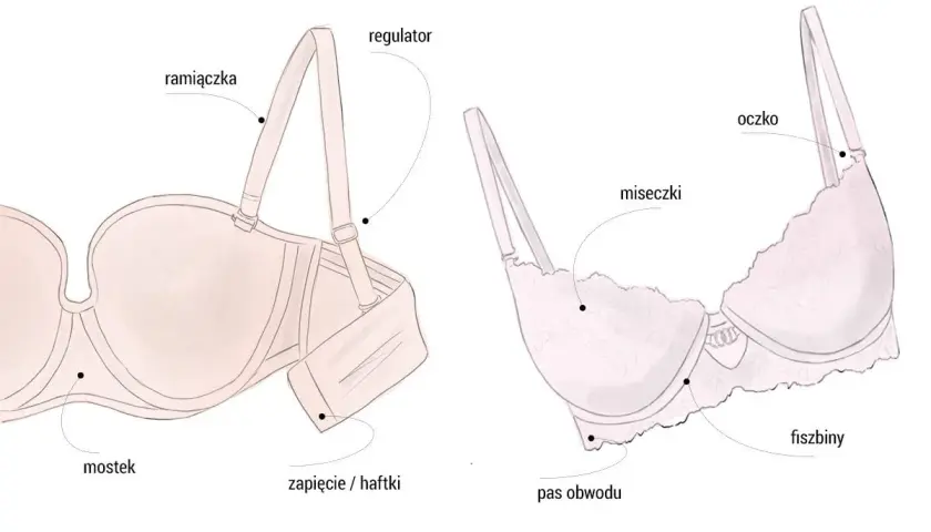 Ilustracja pokazuje budowę stanika, pomagając zrozumieć, jak dobrać stanik. Widoczne są ramiączka, miseczki, fiszbiny, mostek, zapięcie i pas obwodu.