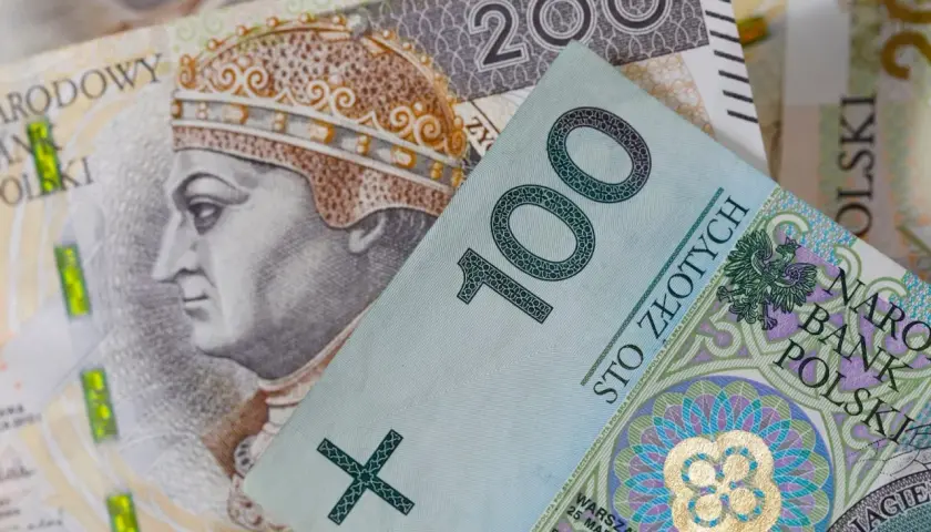 800 plus wniosek 2025: Jak złożyć online i nie stracić pieniędzy?