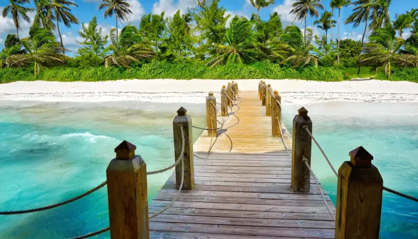 Drewniany pomost prowadzi do rajskiej plaży z palmami. Idealne miejsce na odkrywanie atrakcji Punta Cana.