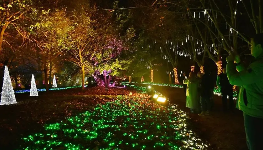 Un paseo nocturno entre luces de navidad, árboles iluminados y conos blancos que parecen nevados.