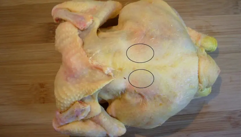 Un poulet cru sur une planche à découper en bois. Deux zones sont encerclées, montrant des fibres musculaires. On dirait que le sot l'y laisse est prêt à être cuisiné.