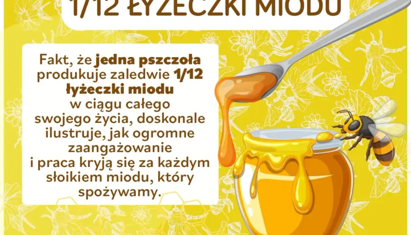 Ciekawostki o pszczołach dla dzieci: jedna pszczoła produkuje tylko 1/12 łyżeczki miodu przez całe życie! To pokazuje, jak ciężko pracują.
