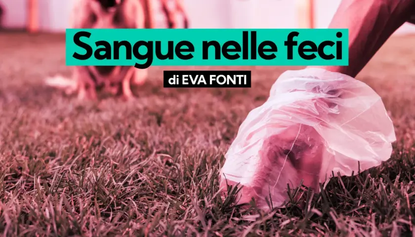 Mano con sacchetto raccoglie feci di cane, forse segno di dissenteria.
