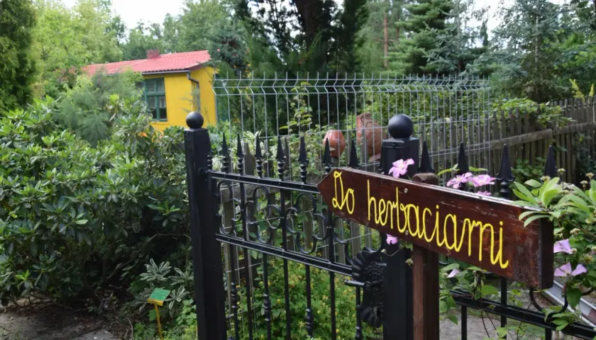 Witaj w Gołubieńskim Ogrodzie Botanicznym! Drewniana tabliczka "Do herbaciarni" zaprasza do ukrytego w zieleni zakątka.