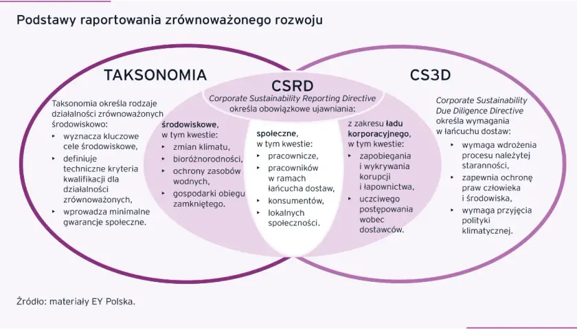Raport zrównoważonego rozwoju: Kluczowe informacje i przykłady firm