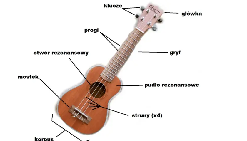 Poznaj nazwy i oznaczenia wszystkich strun w ukulele - kompletny poradnik