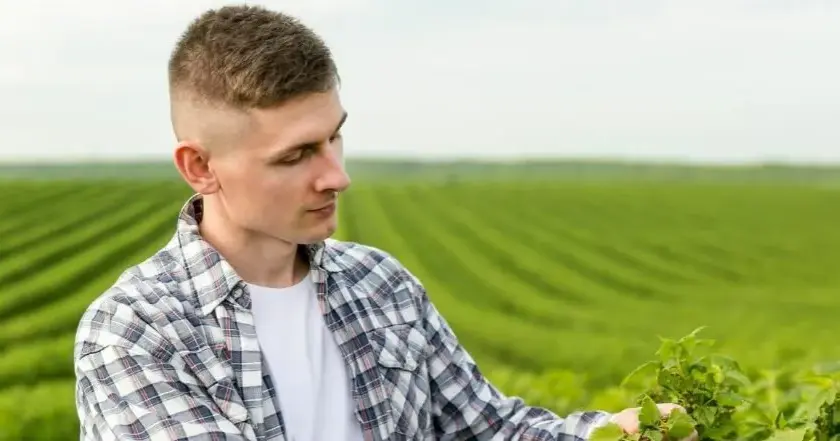 Jak zostać rolnicą w Polsce: niezbędne kwalifikacje i wymagania 2025
