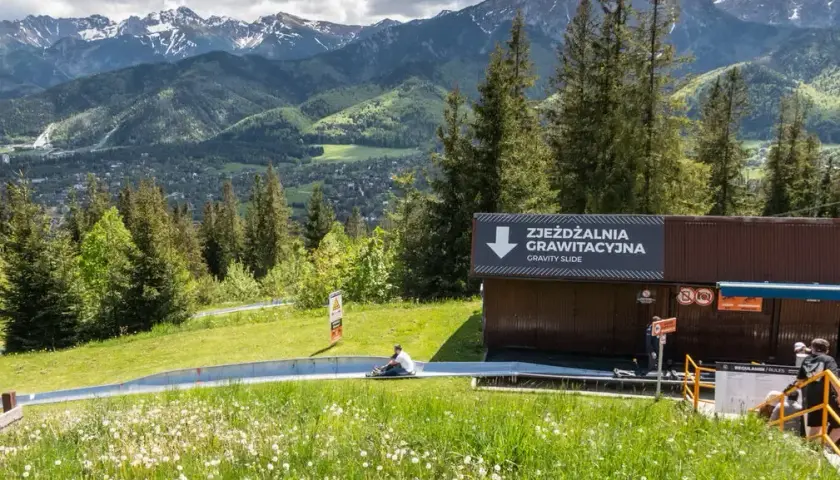 Zakopane: Co zwiedzić? Przewodnik na każdą pogodę i kieszeń!