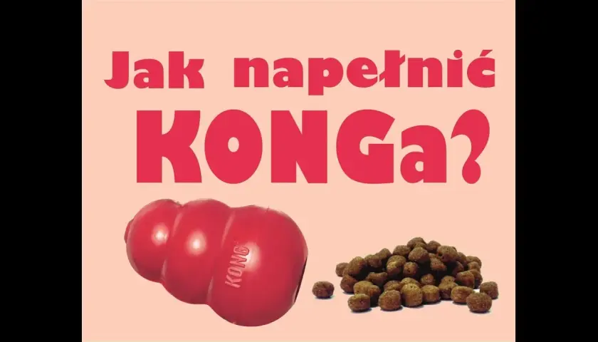 KONG dla psa: Jak używać, napełniać i czyścić? Przewodnik