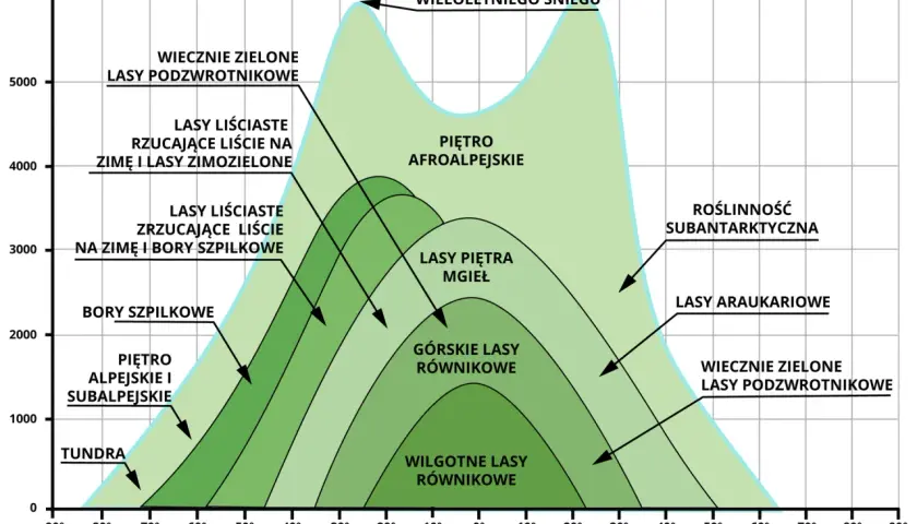 Wykres przedstawia piętra roślinności w Tatrach i innych górach, od tundry po wiecznie zielone lasy podzwrotnikowe, zależnie od szerokości geograficznej i wysokości.