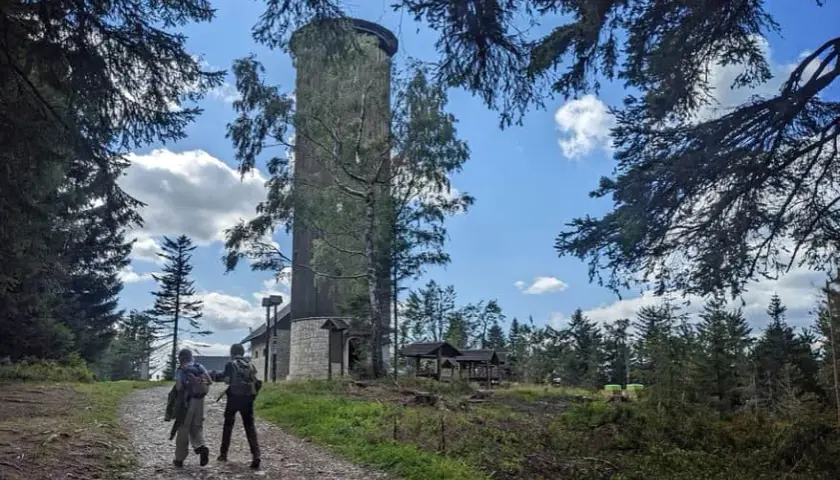 Jak dojść na Borówkową Górę – najłatwiejsze trasy i porady