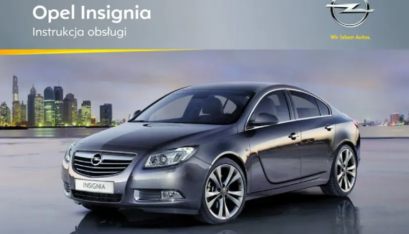 Szary Opel Insignia na tle miasta nocą.