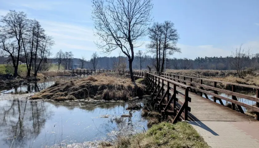 Drewniany mostek nad spokojną rzeką Pilicą, otoczony suchymi trawami i nagimi drzewami.
