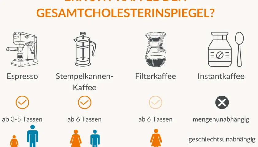 Filterkaffee beeinflusst den Cholesterinspiegel weniger als andere Kaffeearten. Die Grafik zeigt, wie verschiedene Zubereitungen wirken.