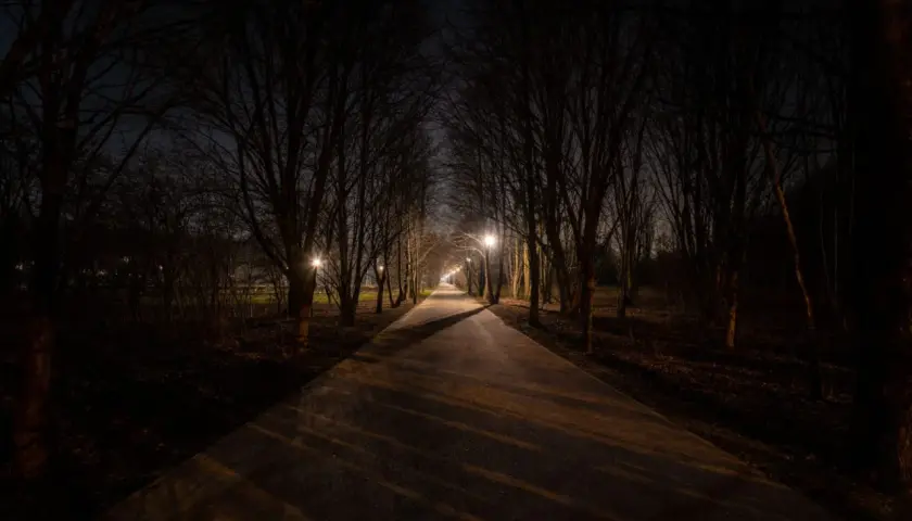 Aleja drzew nocą, oświetlona latarniami. Cienie padają na ścieżkę, tworząc wrażenie kurzej ślepoty.