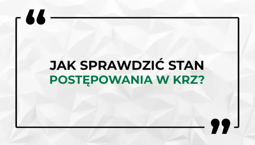 Jak sprawdzić upadłość osoby fizycznej? KRZ darmowy poradnik.