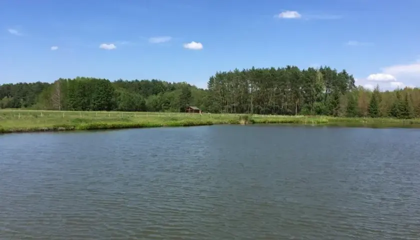 Łowisko Łazy – idealne miejsce na wędkowanie i relaks w naturze
