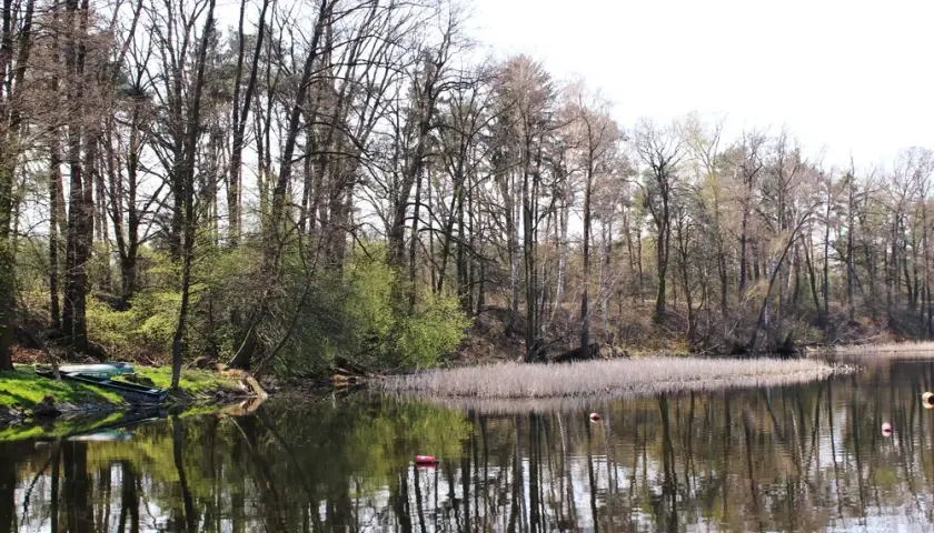 Jezioro Lucieńskie – idealne miejsce na relaks i wędkowanie w naturze