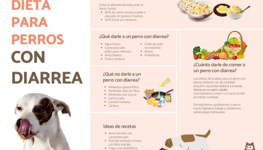 Guía para saber como cortar la diarrea a un perro: qué darle, qué evitar y recetas.