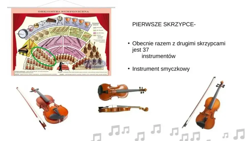 Instrumenty smyczkowe: skrzypce, altówka, wiolonczela, kontrabas. Schemat orkiestry symfonicznej i zdjęcia instrumentów.
