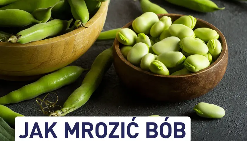 Świeży bób w łuskach i wydłubane ziarna w miseczkach. Dowiedz się, jak mrozić bób, by cieszyć się nim dłużej.