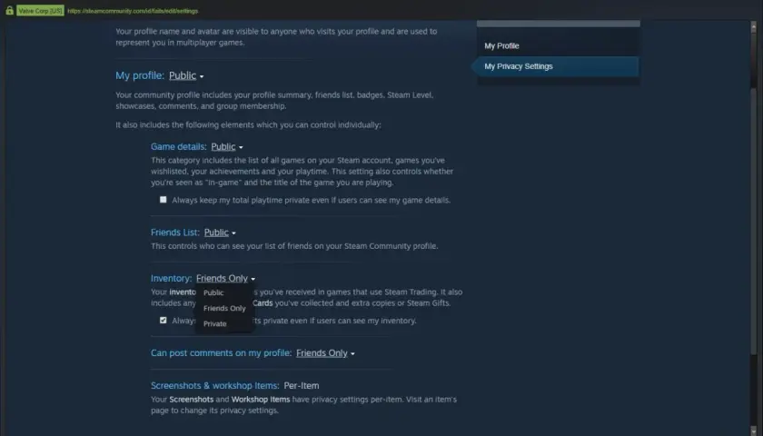 Ustawienia prywatności Steam, aby móc udostępnić swój trade URL na CSGO skins. Zmień widoczność ekwipunku na "Publiczny".