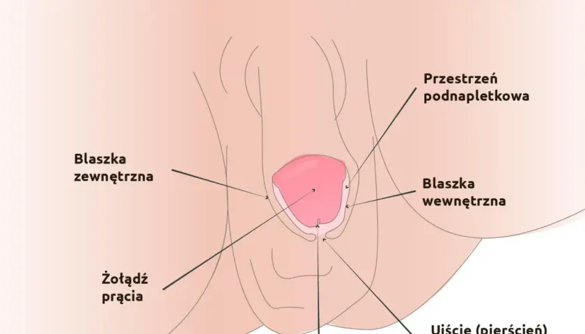 Urolog dziecięcy: Zrozum objawy. Kiedy iść i jak pomóc dziecku?