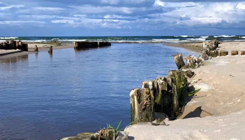 Spokojna plaża z drewnianymi słupkami i wodą, idealne miejsce na jednodniowe wycieczki z Gdańska.