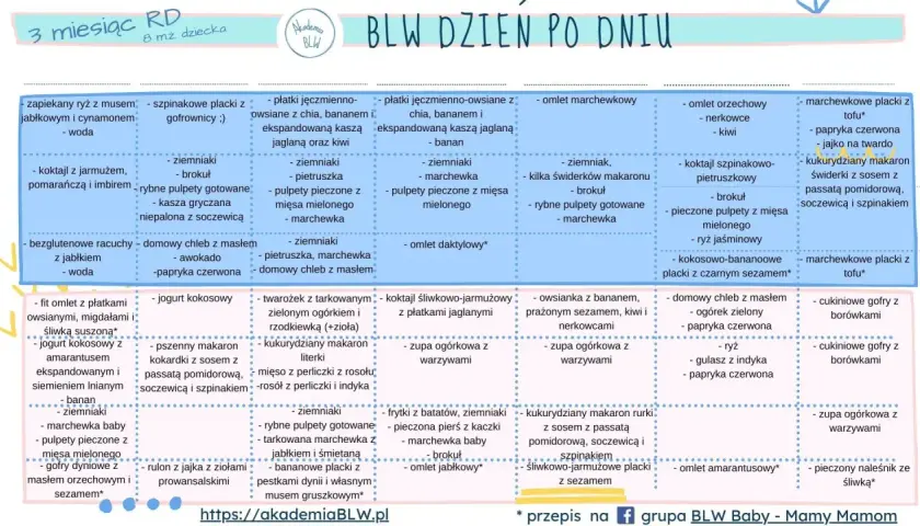 BLW przepisy 6 miesięcy: placuszki marchewkowe z tofu, zupa ogórkowa, omlety, pulpety rybne, makaron z warzywami.