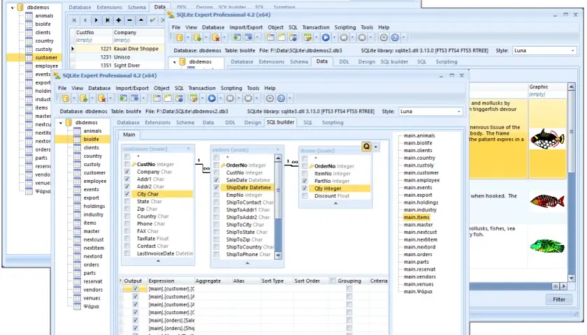 Program do SQL z widokiem tabeli "customer", "orders" i "items". Widoczne są pola danych, relacje między tabelami i podgląd graficzny.