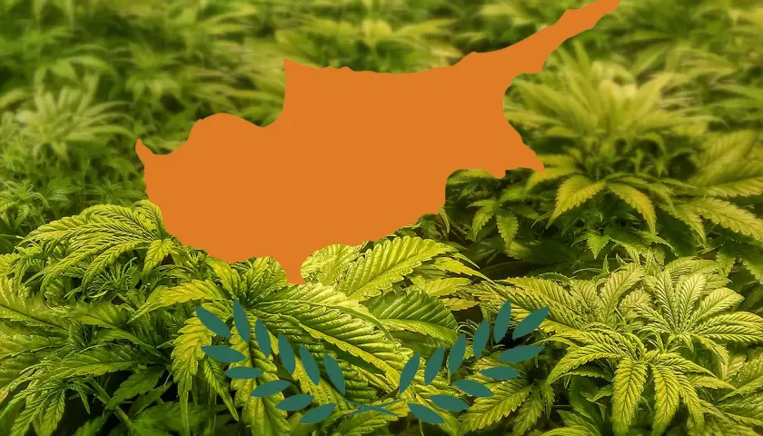 Marihuana na Cyprze: Legalna? Surowe prawo i CBD - poznaj fakty