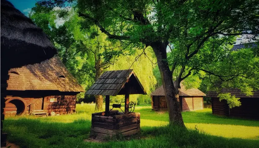 Skanseny Podlasie: Odkryj fascynujące muzea na świeżym powietrzu