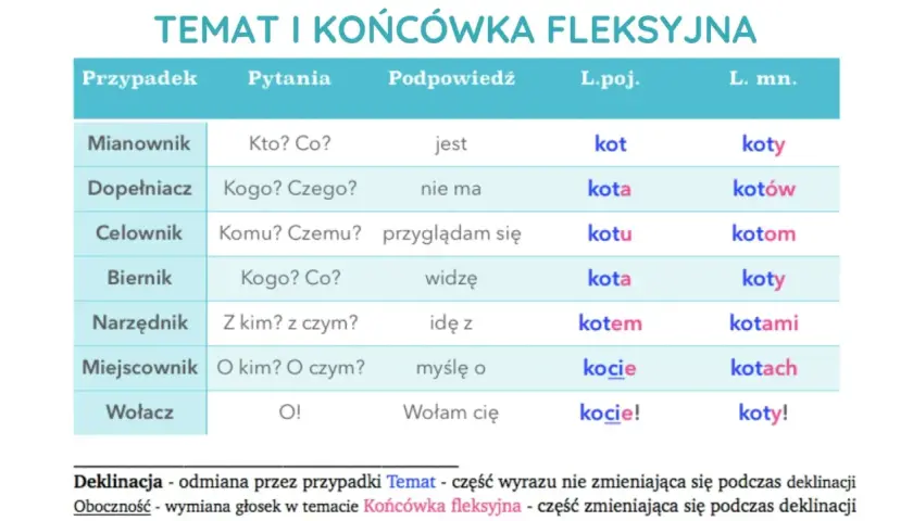 Tabela pokazuje przypadki rzeczownika "kot" w liczbie pojedynczej i mnogiej, ilustrując odmianę tematu i końcówki fleksyjnej.