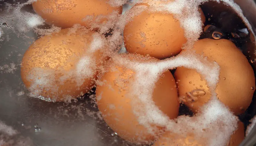 Des œufs bruns bouillent dans une casserole d'eau froide. Le temps de cuisson d'un œuf dur est crucial pour une texture parfaite.