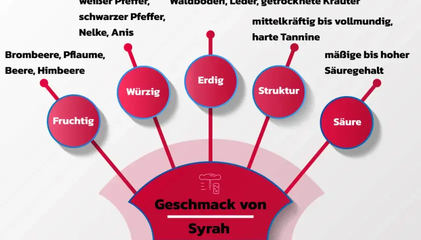 Der Geschmack von Syrah: fruchtig, würzig, erdig, mit Struktur und Säure. Noten von Brombeere, Pfeffer, Leder und Kräutern.