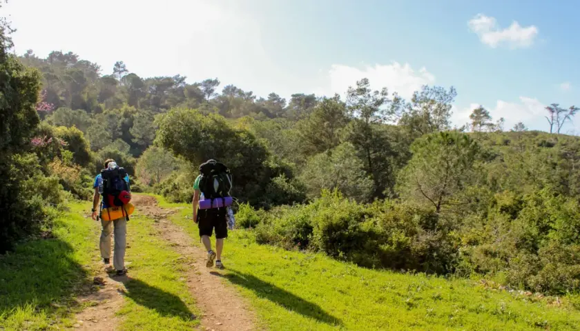 Zwei Wanderer mit Rucksäcken auf einem Feldweg, bereit für einen dreitägigen rundwanderweg durch eine grüne, hügelige Landschaft.