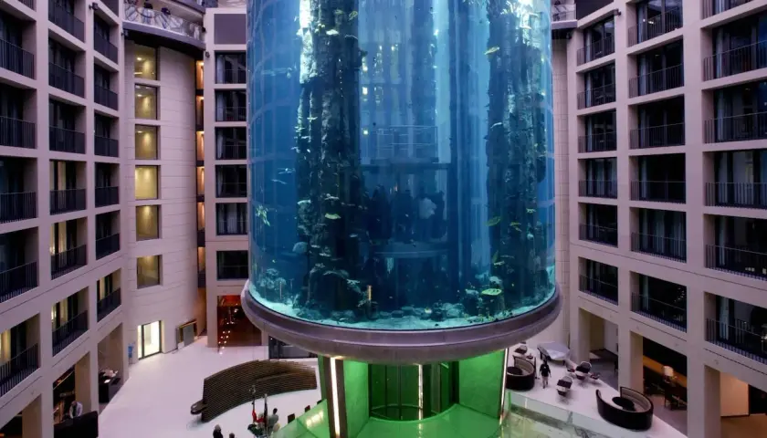 AquaDom Berlin : Pourquoi le géant aquarium s'est-il effondré ?